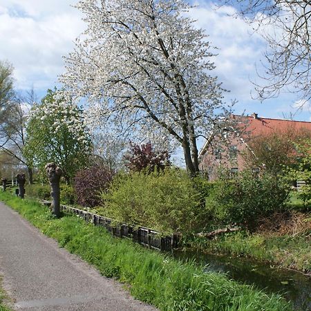 Gastenverblijf De Natureluur Noorden Dış mekan fotoğraf