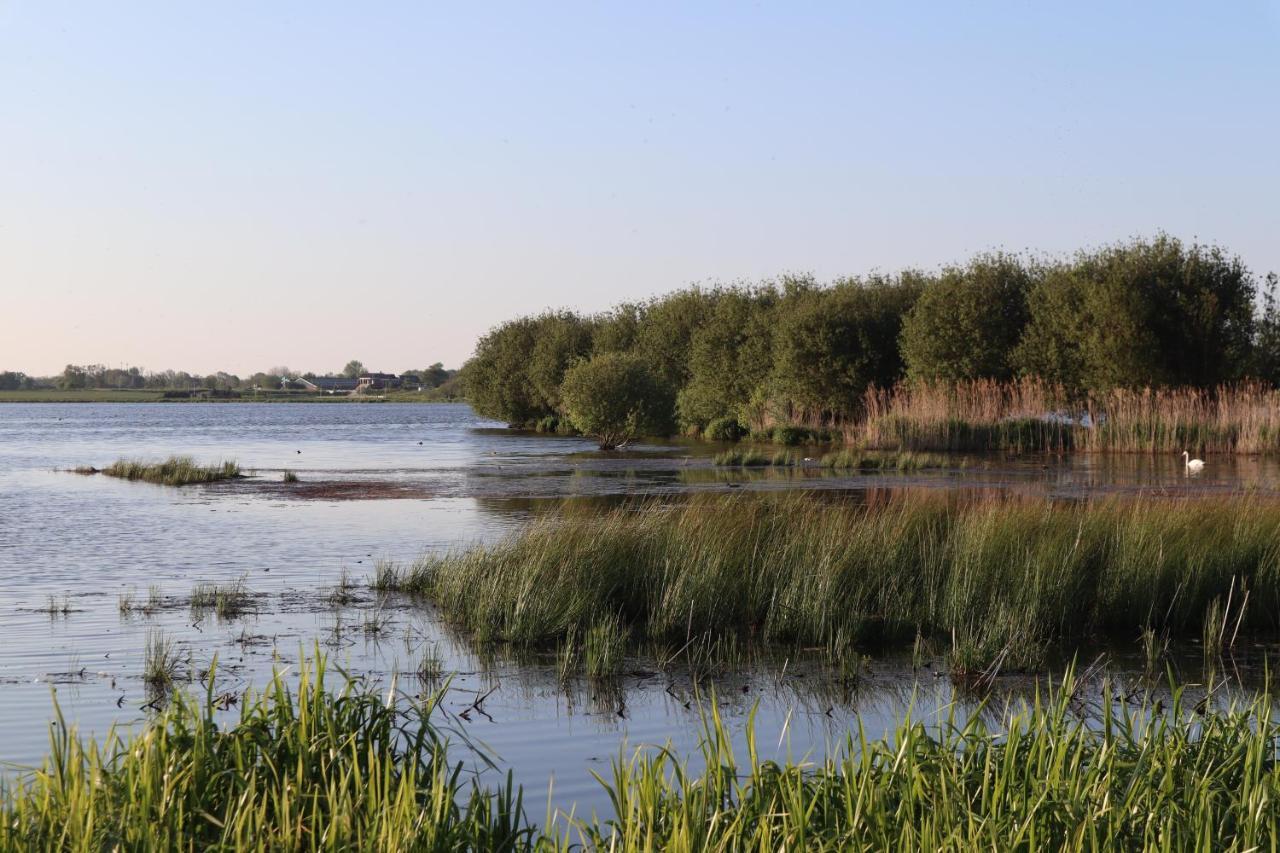 Gastenverblijf De Natureluur Noorden Dış mekan fotoğraf