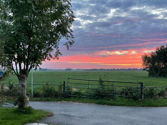 Gastenverblijf De Natureluur Noorden Dış mekan fotoğraf